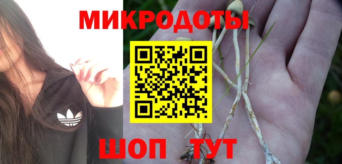 Галлюциногенные грибы ЛСД  Галлюциногенные грибы мицелий  Вход с VPN  Гудермес 
